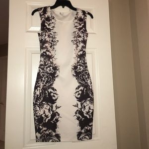 Windsor black and white rose dress