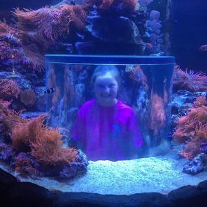 Meet your Posher, Cindy