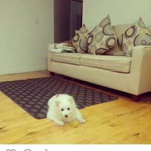 Meet your Posher, Kristine