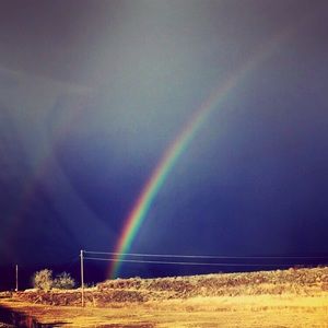 Meet your Posher, Kellie