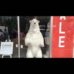 Meet your Posher, Sammy