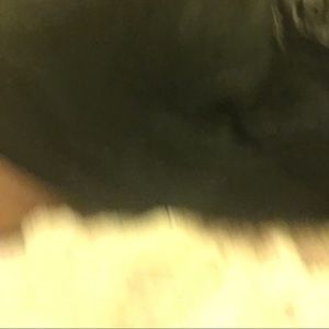 Meet your Posher, Daisy