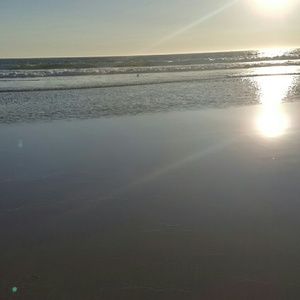 Meet your Posher, Charli