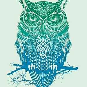 Meet your Posher, Nickolas