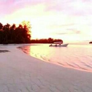 Meet your Posher, Jay