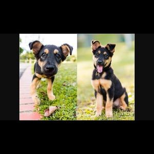 Meet your Posher, Liz