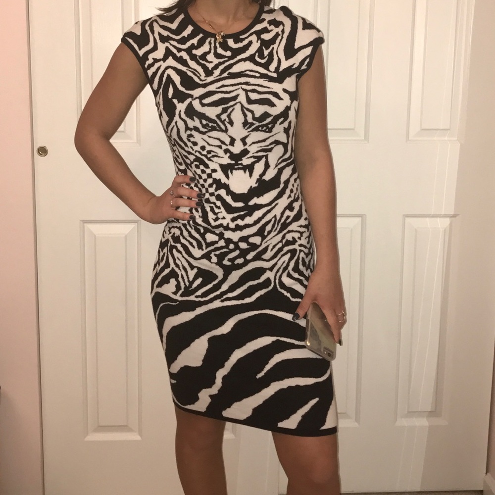 Alexander McQueen Dress