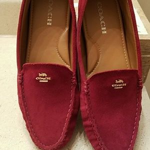 Womens Coach Suede Loafers