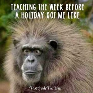 Meet your Posher, Karla