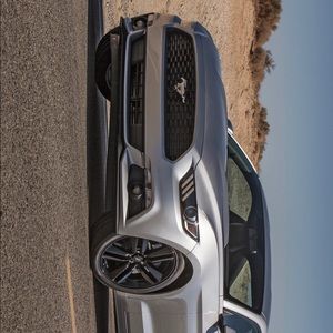 Meet your Posher, Luis