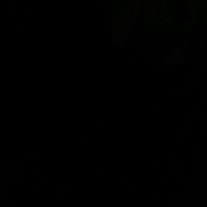 Meet your Posher, Gene