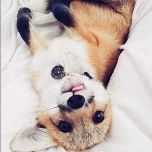 Meet your Posher, Jack