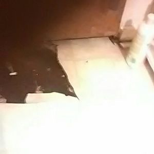 Meet your Posher, Bryant