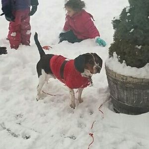 Meet your Posher, Amy