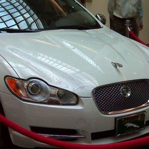 Meet your Posher, Roy