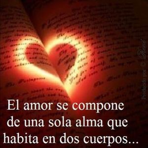 Meet your Posher, Sebastian