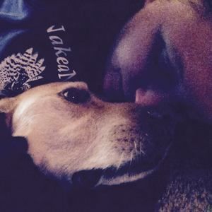 Meet your Posher, Liz