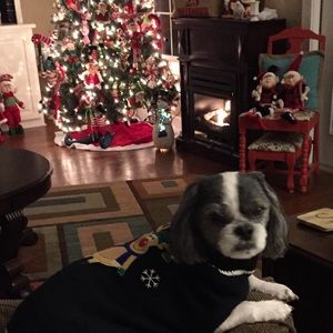 Meet your Posher, Lisa