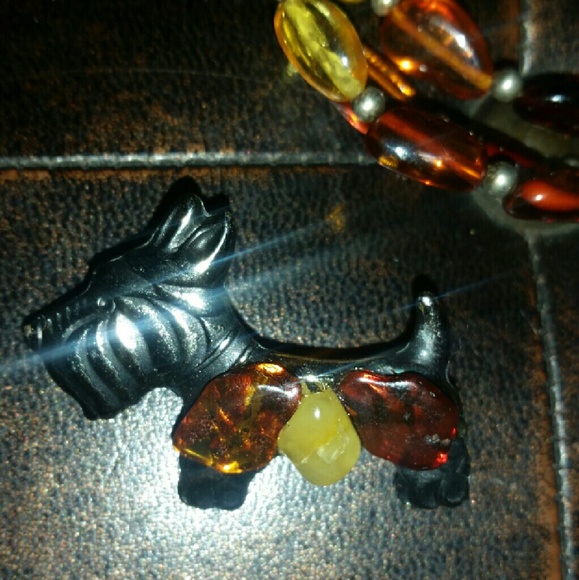 NWOT Amber pin from Riga, Latvia. 💓💓💓💓