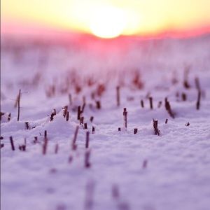 Meet your Posher, Sammatha