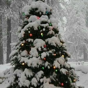 Meet your Posher, Raquel