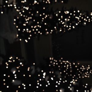 Meet your Posher, Jenelle