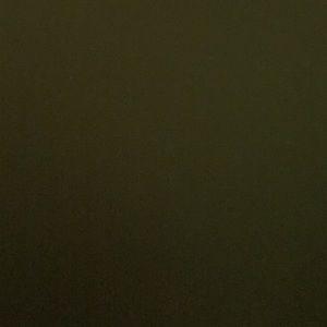 Meet your Posher, Deanna