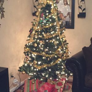 Meet your Posher, Tim n regina