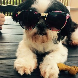 Meet your Posher, Mandy