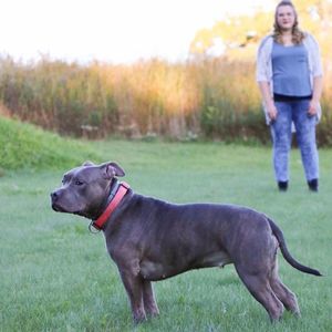 Meet your Posher, Libby