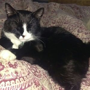 Meet your Posher, Christine