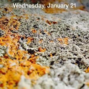 Meet your Posher, Gavin