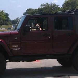 Meet your Posher, Brandy