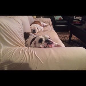 Meet your Posher, Sandra