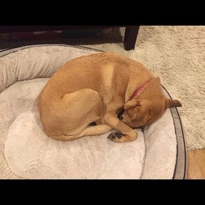 Meet your Posher, Alison