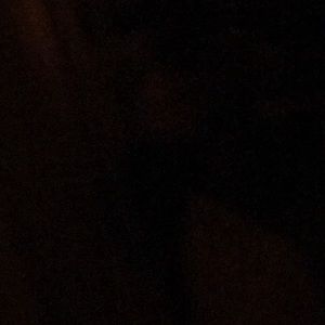 Meet your Posher, Lucy