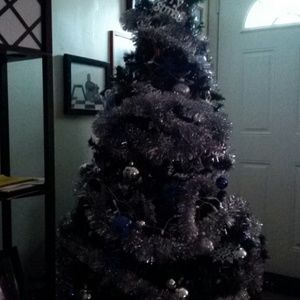 Meet your Posher, Carmella