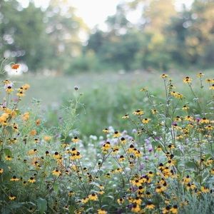 Meet your Posher, Tracie