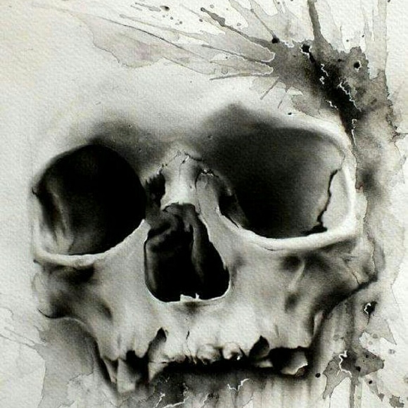 Meet your Posher, Amy - Picture 1 of 1