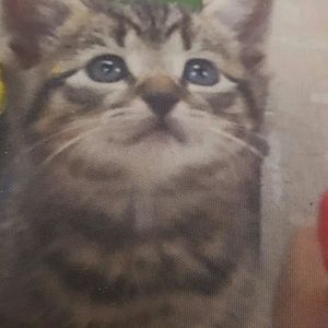 Meet your Posher, Deborah