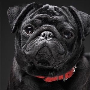 Meet your Posher, Cathy