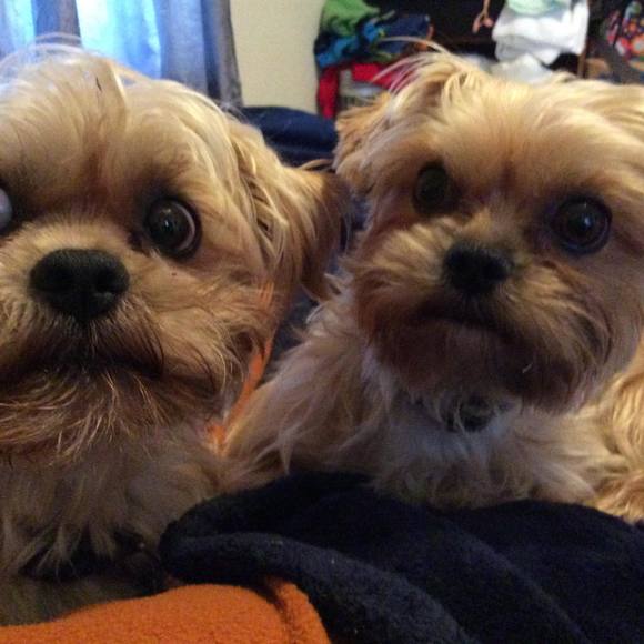 Meet your Posher, Denese