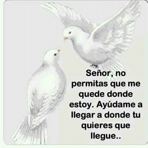 Meet your Posher, Gilberto