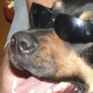 Meet your Posher, Shawn