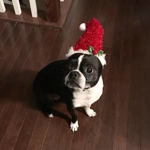 Meet your Posher, Lesa