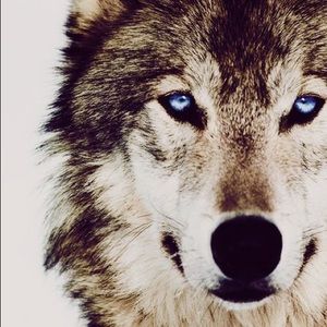 Meet your Posher, Brenda