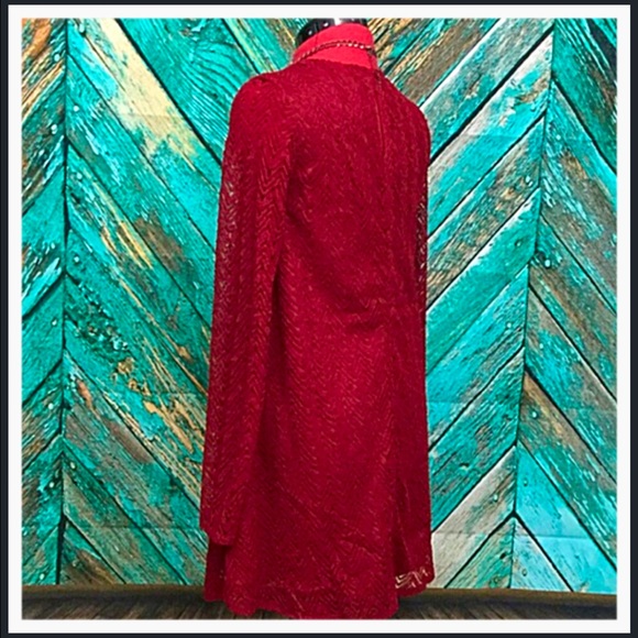 Loveriche Red Lace Overlay A-line Dress - Picture 4 of 7