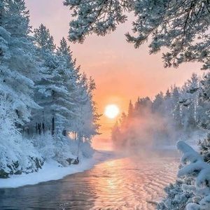 Meet your Posher, Cynthia