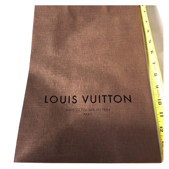 Louis Vuitton paper bag NEW