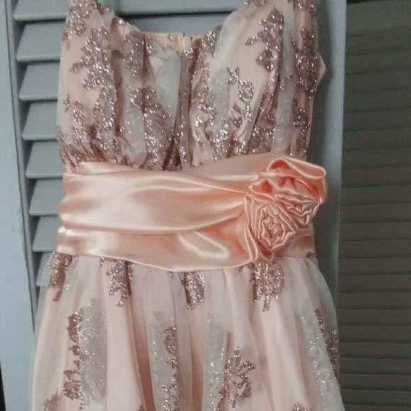 Peach semi formal/ holiday dress - Picture 1 of 2